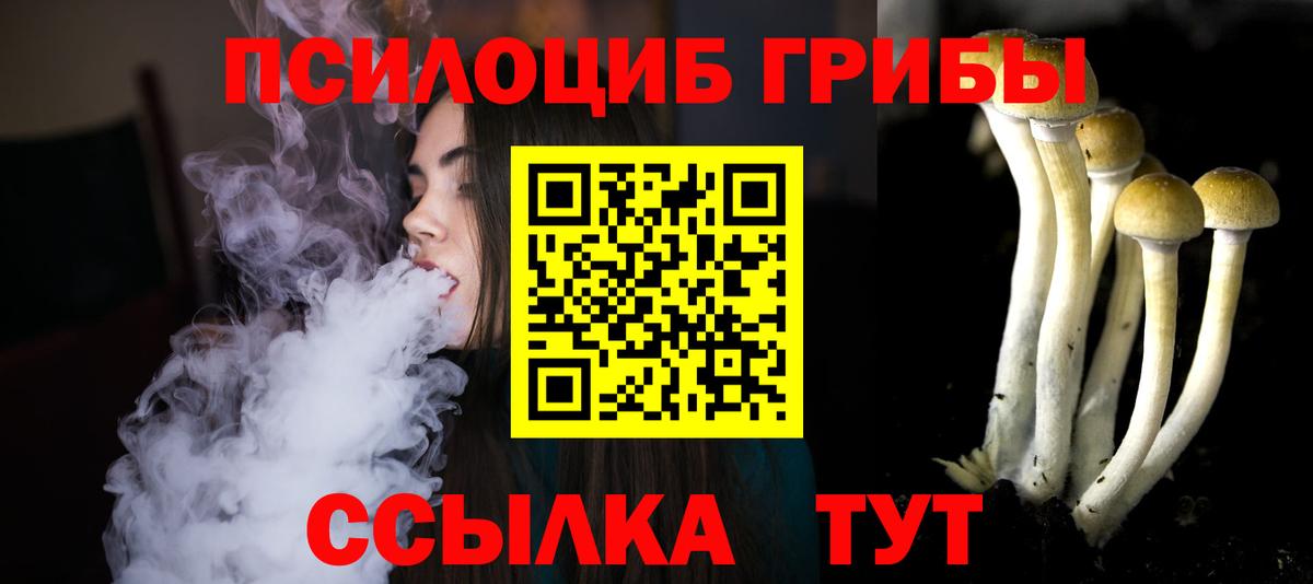 Холмск  Галлюциногенные грибы прущие грибы  Вход с VPN 
